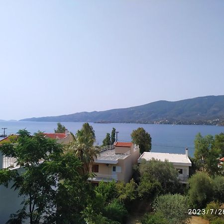 Willa Rigos House At Askeli Beach, Poros Island Poros Town Zewnętrze zdjęcie