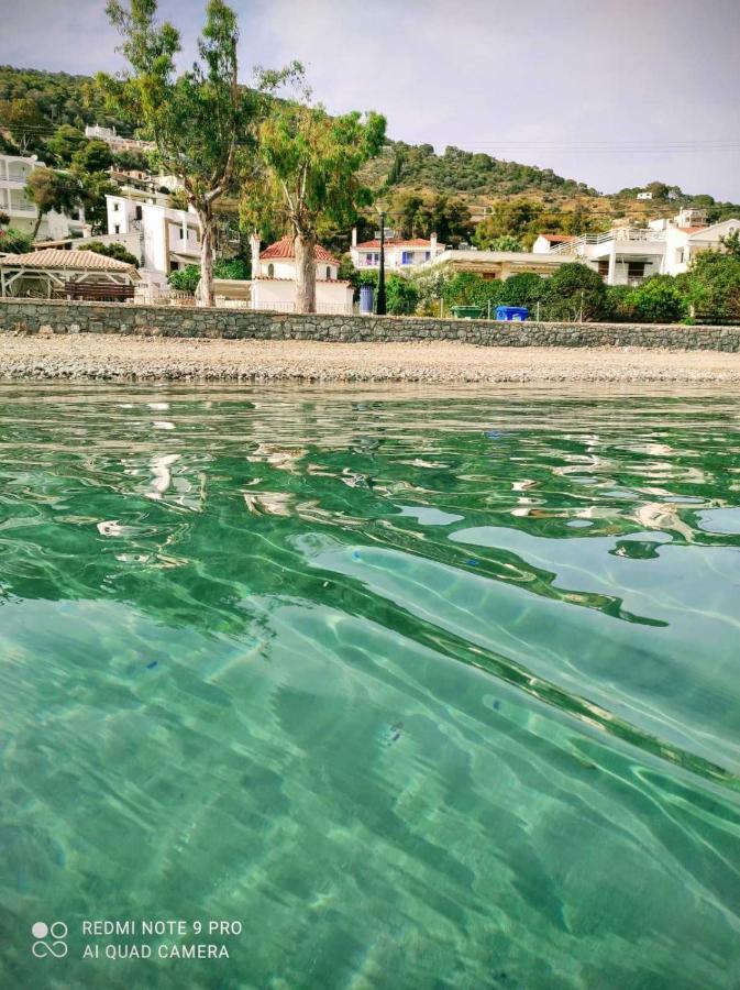 Willa Rigos House At Askeli Beach, Poros Island Poros Town Zewnętrze zdjęcie
