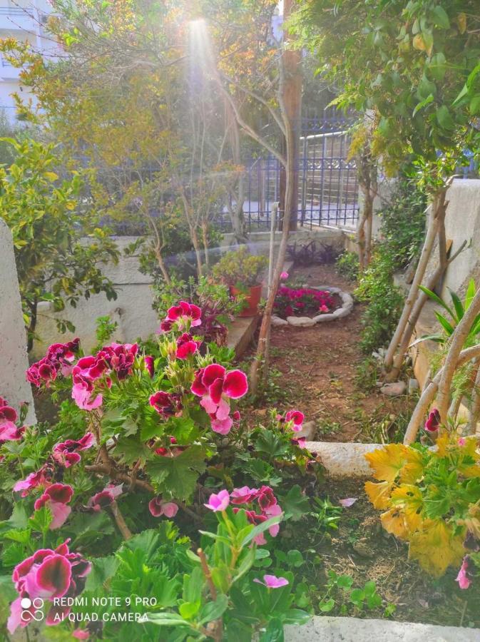 Willa Rigos House At Askeli Beach, Poros Island Poros Town Zewnętrze zdjęcie